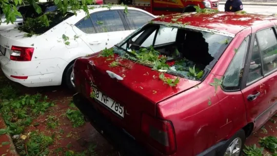 İzmit'te yoğun yağış ağaçları devirdi!