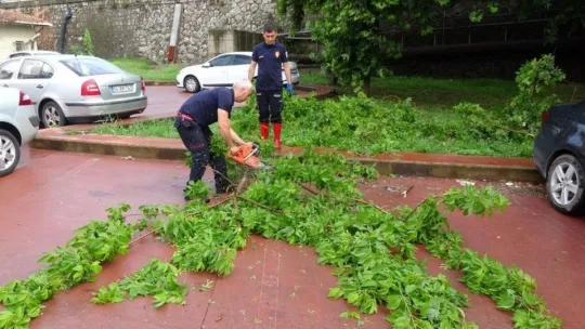 İzmit'te yoğun yağış ağaçları devirdi!
