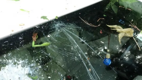 İzmit'te yoğun yağış ağaçları devirdi!