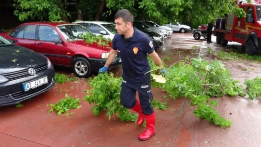 İzmit'te yoğun yağış ağaçları devirdi!