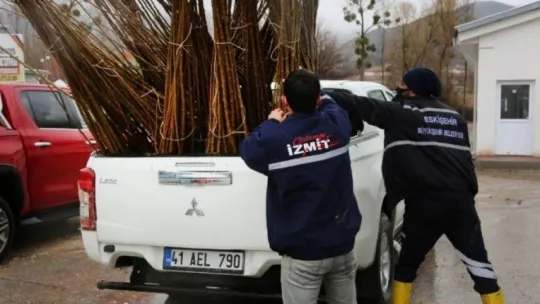 İzmit'te ipek böcekçiliği canlandırılacak