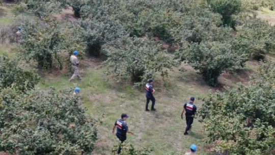 Jandarma fındık hırsızlarına karşı nöbette