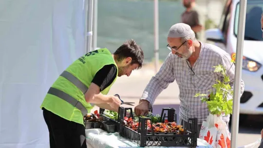 Kabirlere dikilmek amacıyla binlerce çiçek dağıtıldı