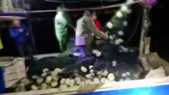 Kaçak avcılar denizde polise yakalandı