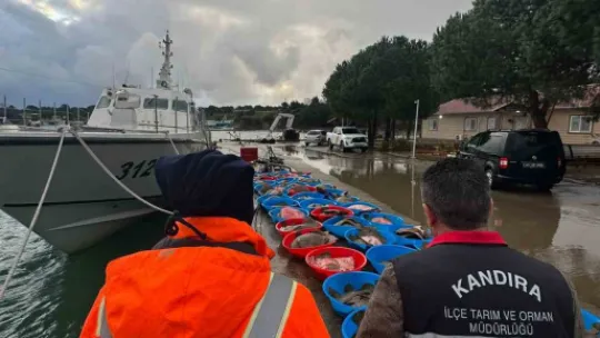 Kocaeli'de kaçak av operasyonu!