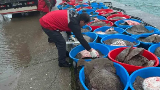 Kocaeli'de kaçak av operasyonu!