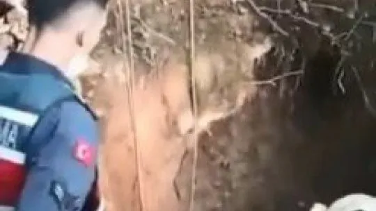 Kaçak define avcıları böyle yakalandı!