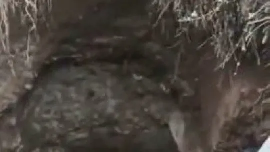 Kaçak define avcıları böyle yakalandı!