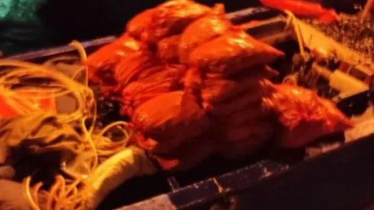 Kaçak midye avcısına suçüstü baskın: 100 kilogram midye ele geçirildi