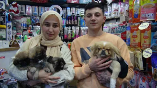 Kaçırılıp 500 TL'ye satıldı, yavrularına kavuştu