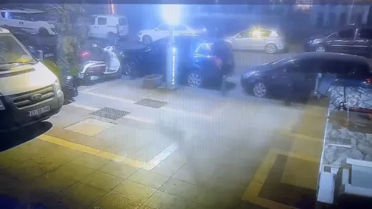 Kaçırılıp 500 TL'ye satıldı, yavrularına kavuştu
