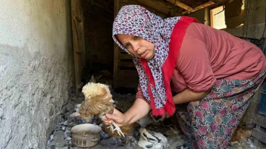 Kadın girişimcinin 22 yıllık emeği bir gecede yok oldu