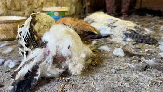 Kadın girişimcinin 22 yıllık emeği bir gecede yok oldu