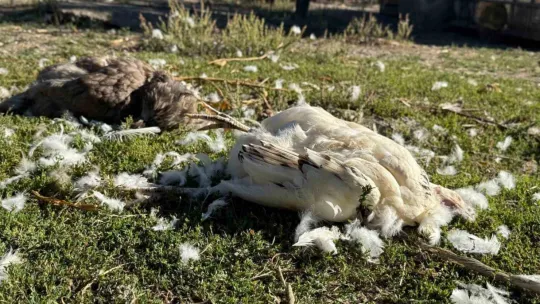 Kadın girişimcinin 22 yıllık emeği bir gecede yok oldu
