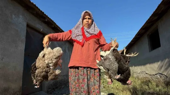 Kadın girişimcinin 22 yıllık emeği bir gecede yok oldu