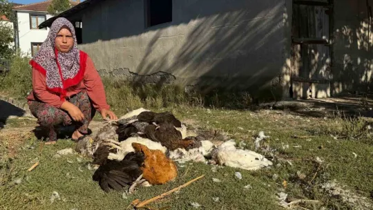 Kadın girişimcinin 22 yıllık emeği bir gecede yok oldu