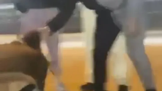 Kadın maganda tutuklandı