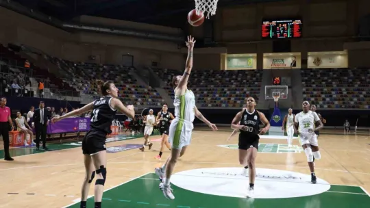 Danilos Pizza, İzmit'te Beşiktaş'ı mağlup etti: 83-75