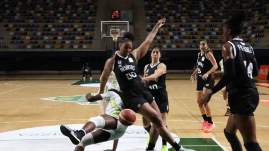 Danilos Pizza, İzmit'te Beşiktaş'ı mağlup etti: 83-75