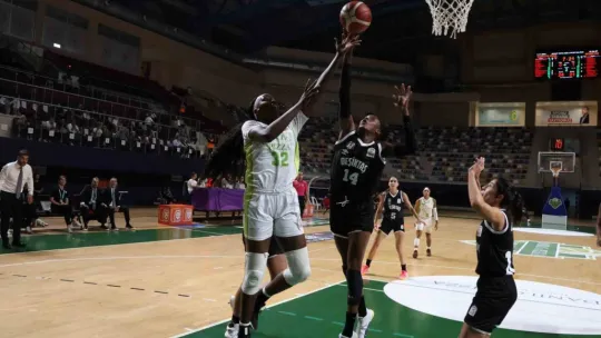 Danilos Pizza, İzmit'te Beşiktaş'ı mağlup etti: 83-75