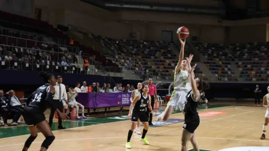 Danilos Pizza, İzmit'te Beşiktaş'ı mağlup etti: 83-75