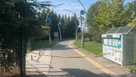 Kardeşten sonra ağabey de hayatını kaybetti