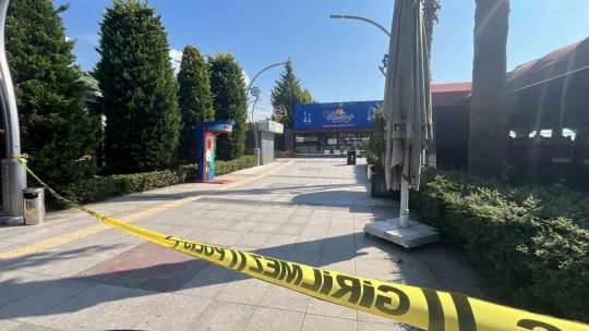 Kardeşten sonra ağabey de hayatını kaybetti