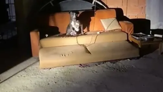 Kaldığı apartmanı 3 gün üst üste yaktı