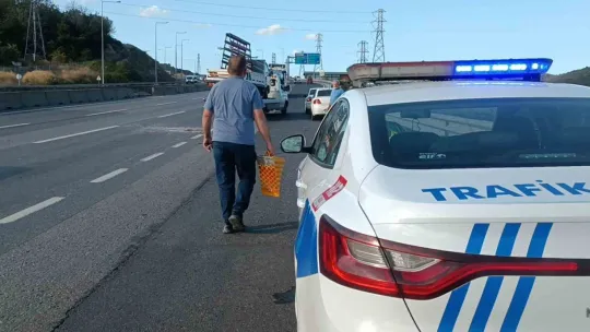 Kamyonet tıra arkadan çarptı yaralı var