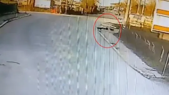 Okula giden çocuğa 2 köpek saldırdı