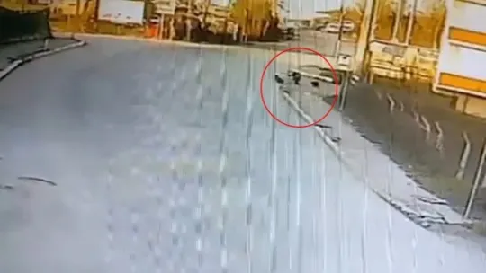 Okula giden çocuğa 2 köpek saldırdı