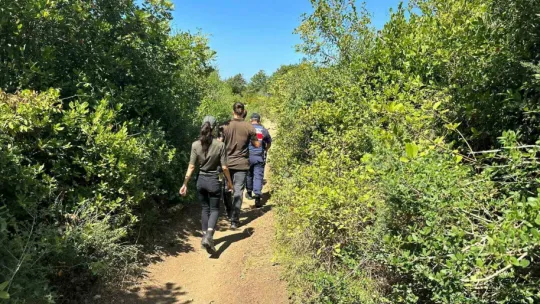Kandıra'da sahillerde ve ormanlık alanlarda izinsiz çadır kuranlara ceza