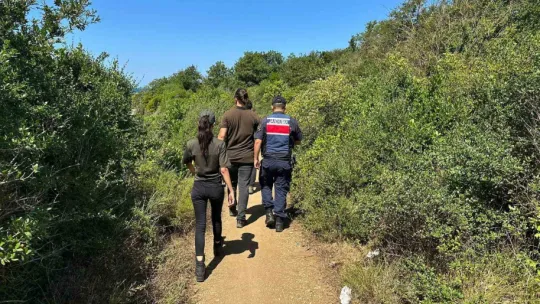Kandıra'da sahillerde ve ormanlık alanlarda izinsiz çadır kuranlara ceza