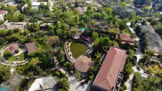 Kapanmayı fırsat bilip, park içerisinde özgürce dolaşıyorlar