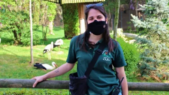 Kapanmayı fırsat bilip, park içerisinde özgürce dolaşıyorlar