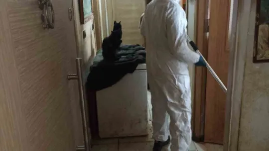 Kapı açılınca karşılaşılan manzara şoke etti