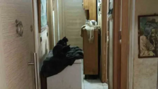 Kapı açılınca karşılaşılan manzara şoke etti