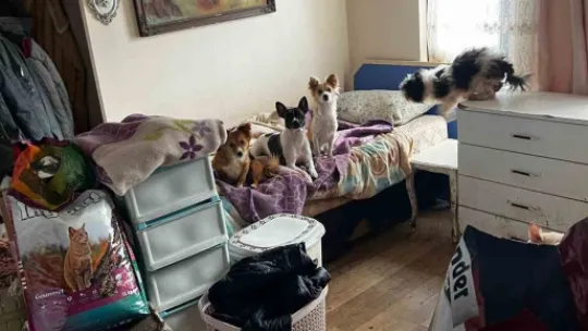 Kapı açılınca karşılaşılan manzara şoke etti