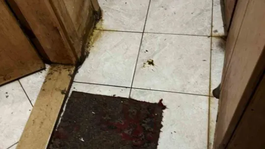 Kapı açılınca karşılaşılan manzara şoke etti