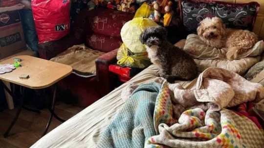 Kapı açılınca karşılaşılan manzara şoke etti