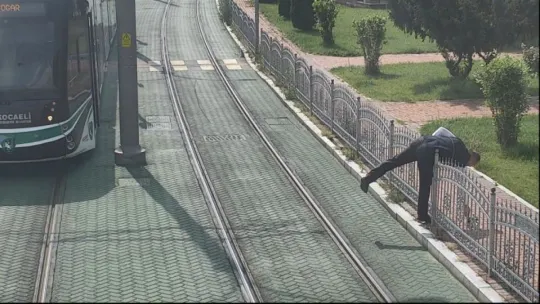  Kaplumbağa İzmit Tramvay Yolu'nda mahsur kaldı!