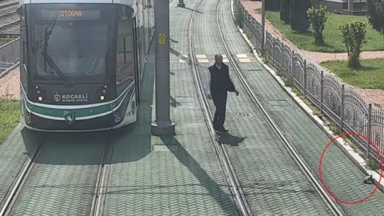  Kaplumbağa İzmit Tramvay Yolu'nda mahsur kaldı!