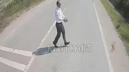 Kaplumbağanın ezilmemesi için araçları durdurdu