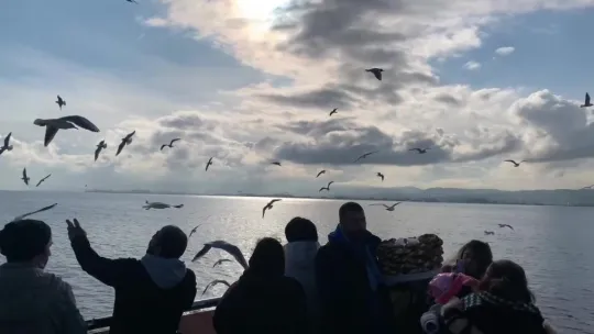 Kar öncesi bahar havası