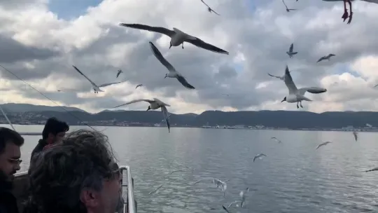 Kar öncesi bahar havası