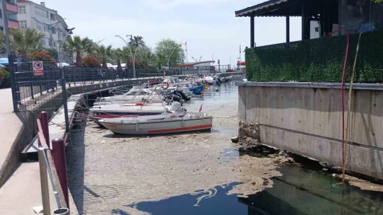 Kocaeli'de sahil müsilajla kaplandı