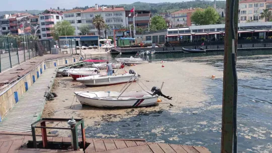 Kocaeli'de sahil müsilajla kaplandı