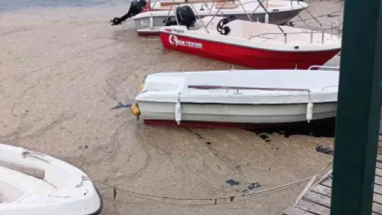 Kocaeli'de sahil müsilajla kaplandı