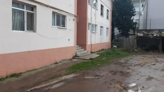 Kardeşini göğsünden bıçaklamıştı, tutuklandı
