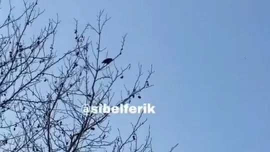 Kargadan Allahu Ekber sesleri